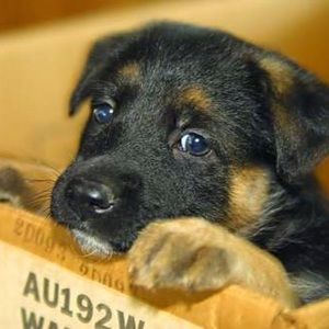 Meet your Posher, Andrew